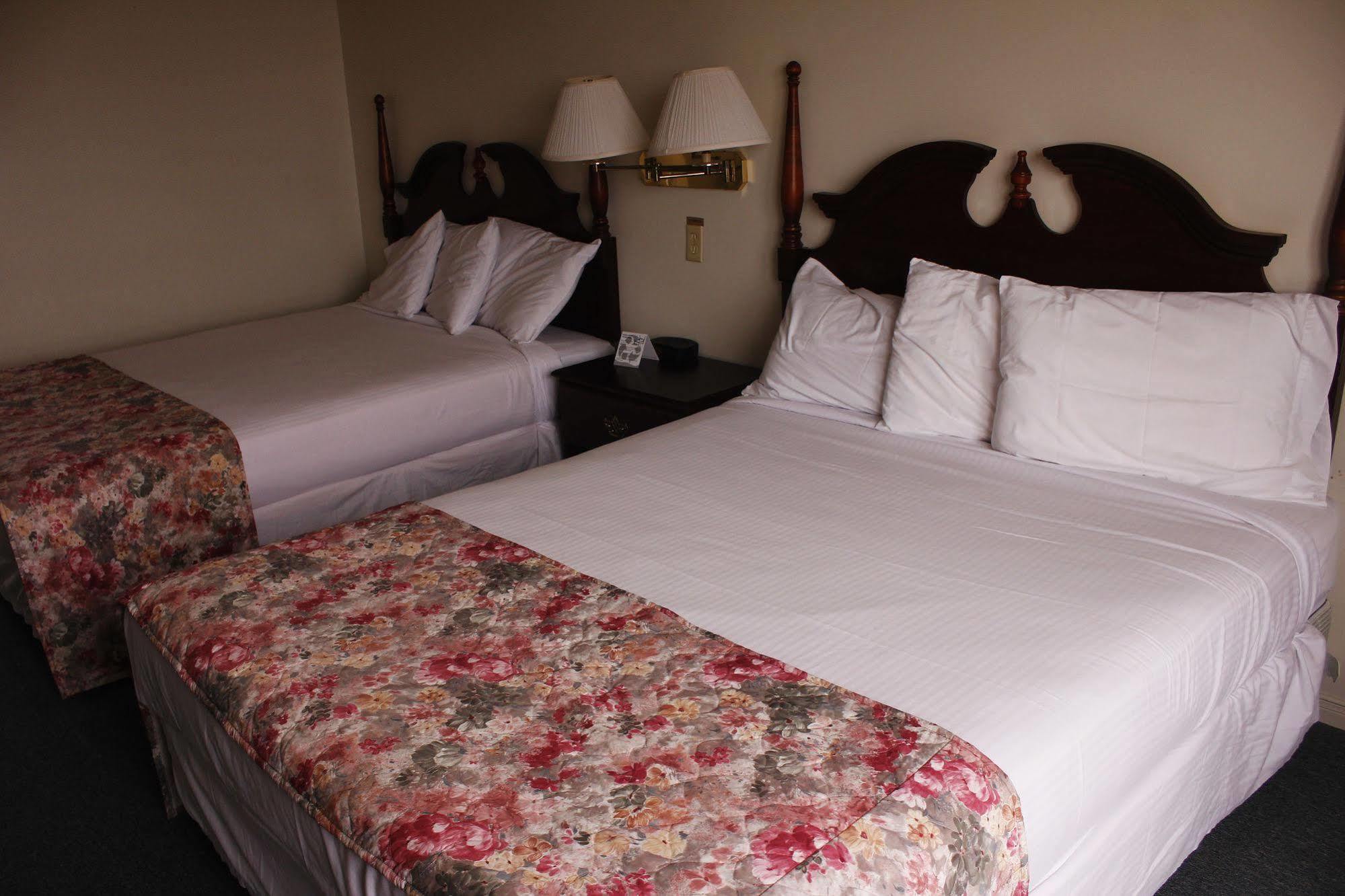 Brier Island Lodge Westport Eksteriør bilde