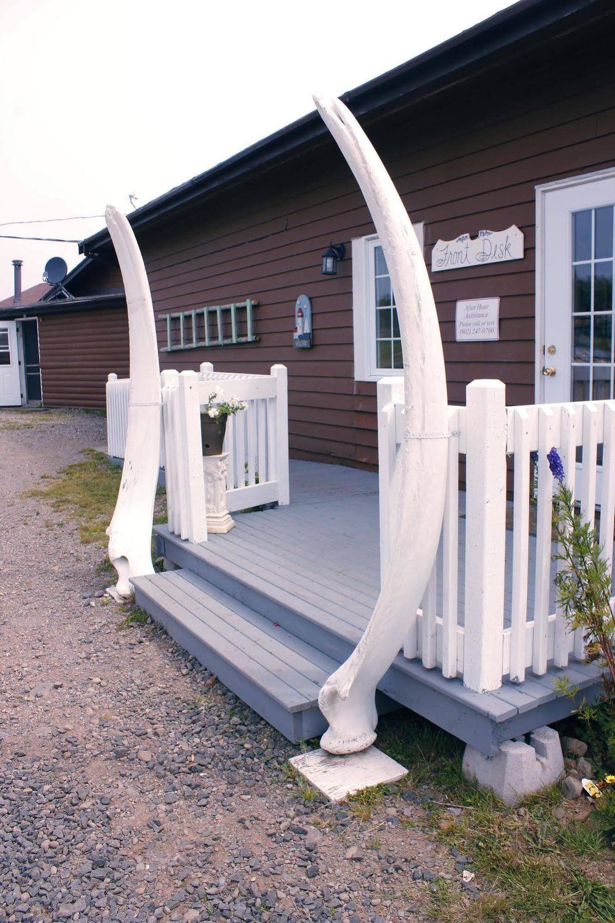 Brier Island Lodge Westport Eksteriør bilde